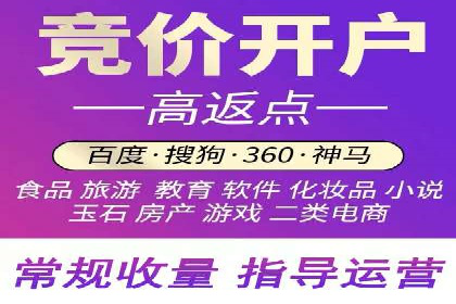 行业领先企业的sem账户竞价运营策略